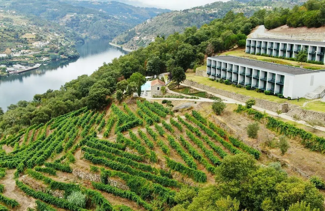 Douro Palace Hotel Resort&SPA-1